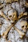 Vienna, Austria. Skull and bones Art Print